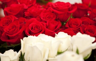 Valentine's Day Sales Records Achieved, Florists Working With Flyline Search Marketing
